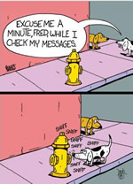 Dog Checks Messages